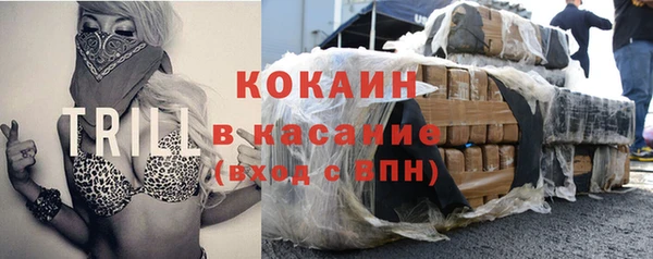 шишки Покачи