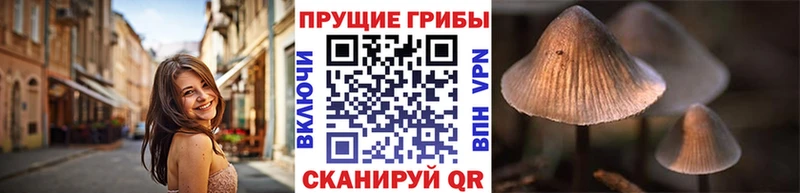 наркотики  Донецк  Псилоцибиновые грибы мухоморы 